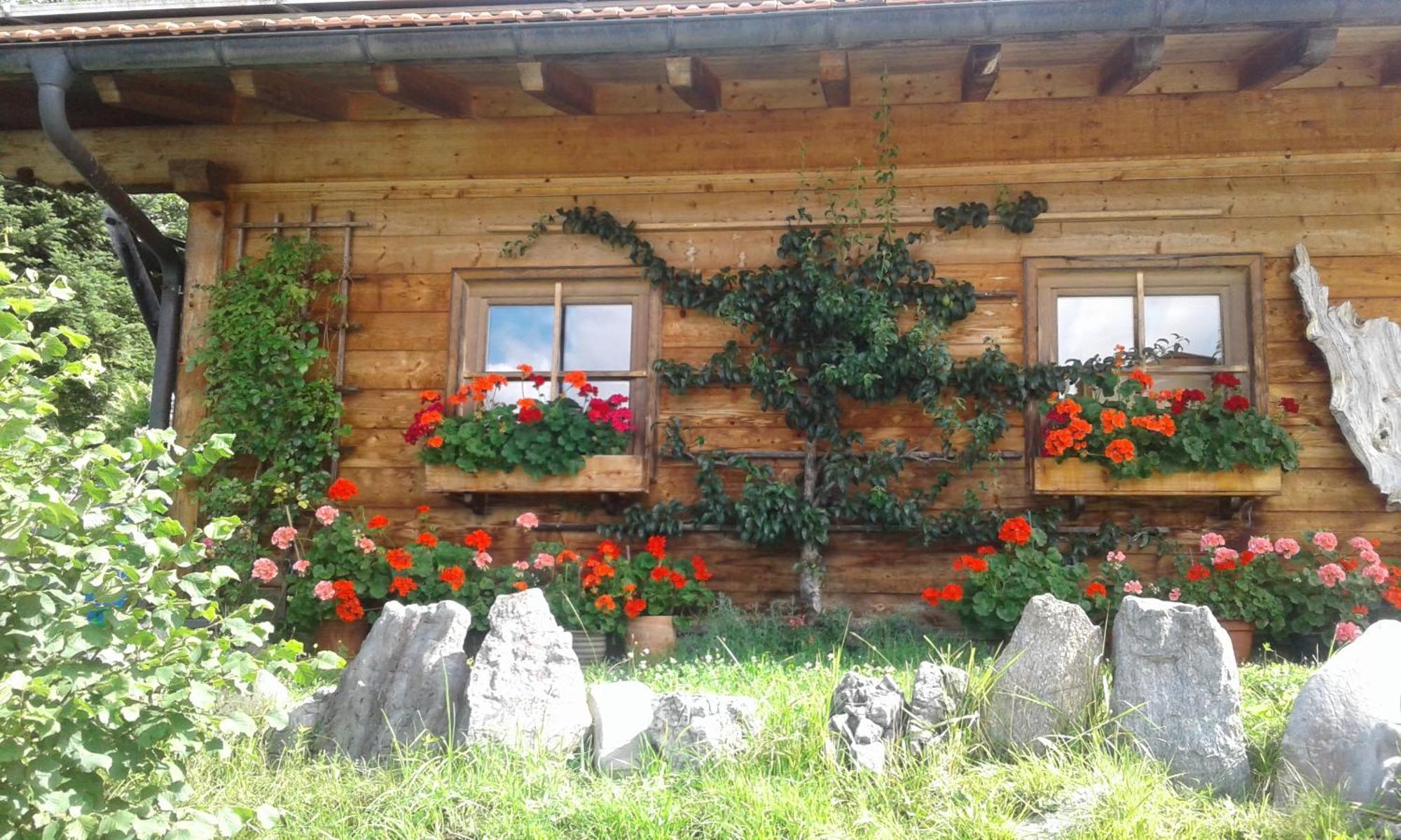 Wilder Kaiser Reit im Winkl Exterior photo